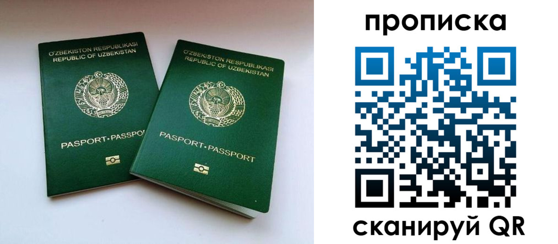 прописка поиск в Бологом