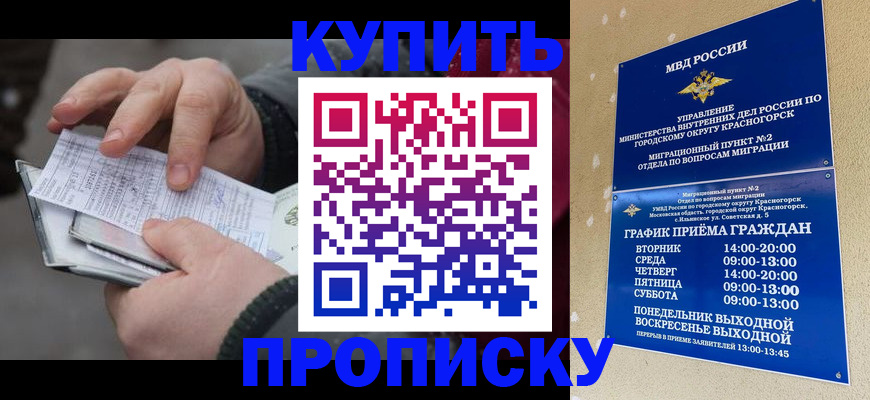 временная регистрация недорого в Бологом